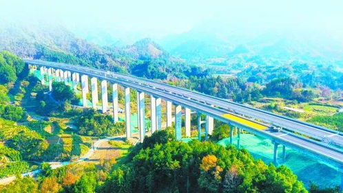 廣西全面實(shí)現(xiàn)縣縣通高速，交通網(wǎng)絡(luò)邁入新時代