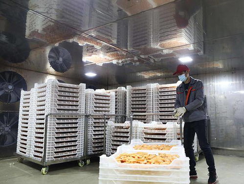 紅薯飄香脫貧路 加工增值產(chǎn)業(yè)興——廣西融安的鄉(xiāng)村振興實(shí)踐