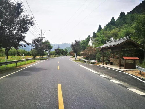 臨安公路榮膺省級(jí)綠化美化精品道路，橋梁藝術(shù)融入生態(tài)長(zhǎng)廊